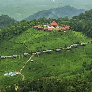 Wild Planet Jungle Resort